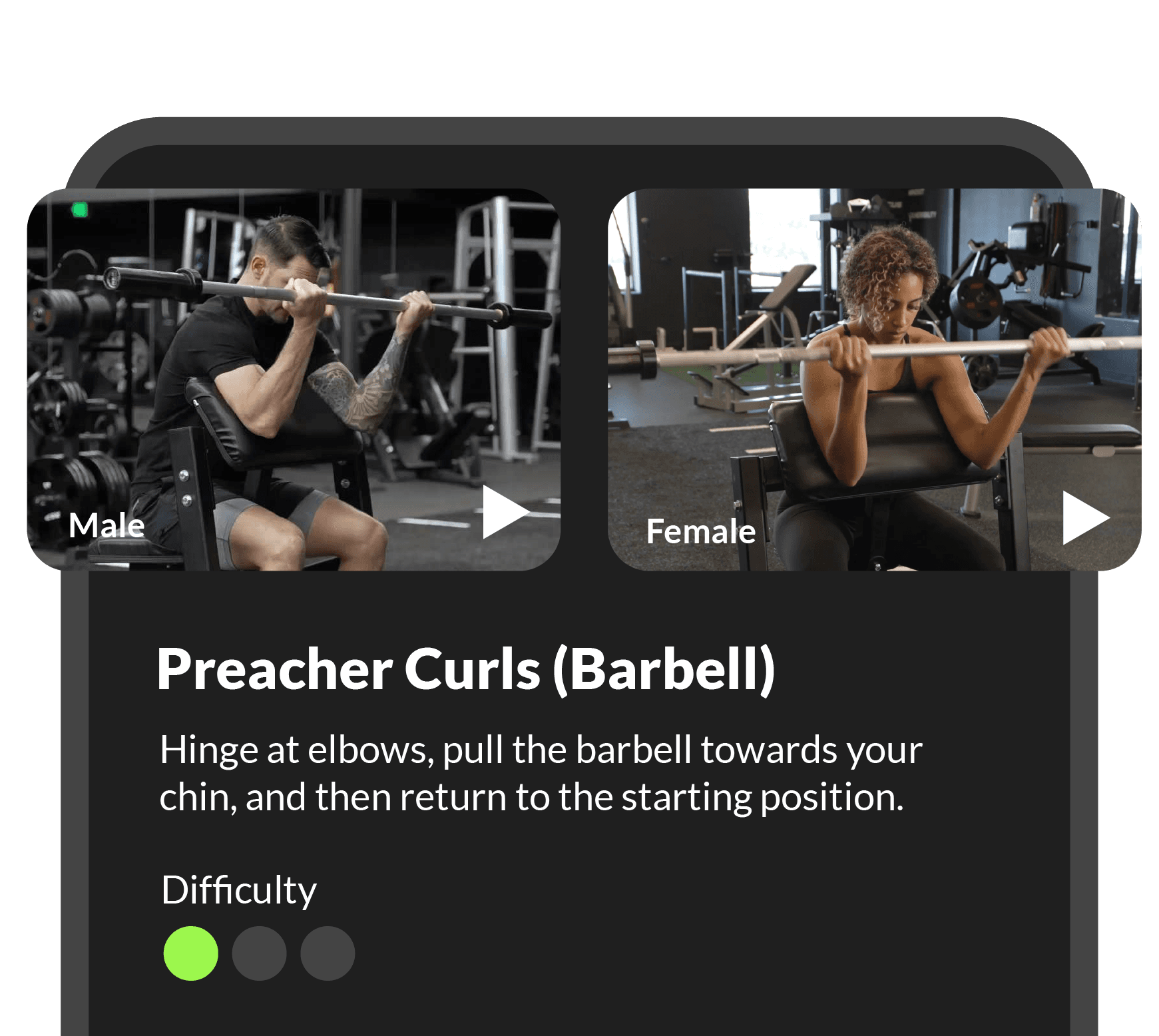 MyCoach.ai app — exercise detail view with male and female video previews for Preacher Curls